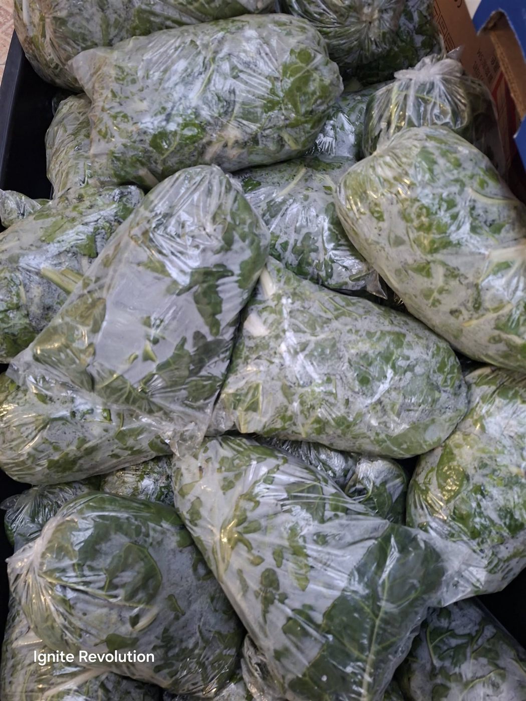 Packs of fresh spinach